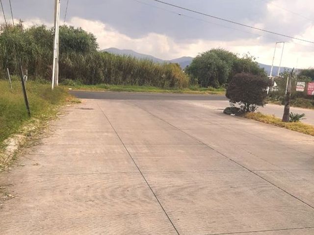 place photo 18
