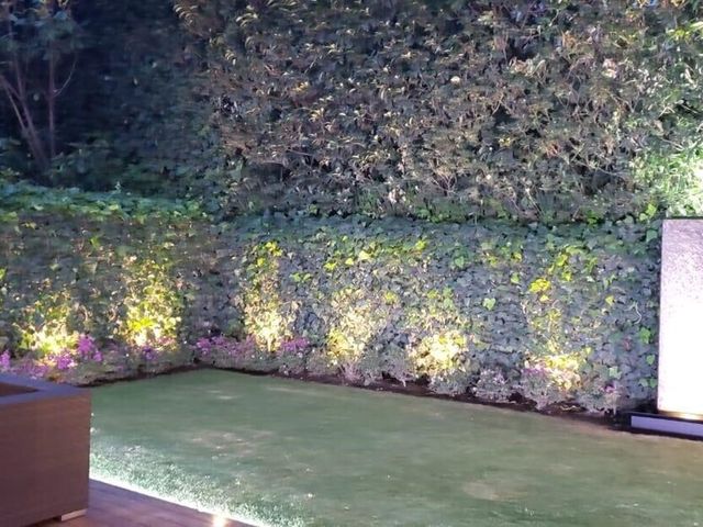 place photo 44