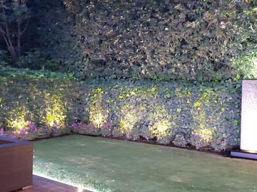 place photo 44
