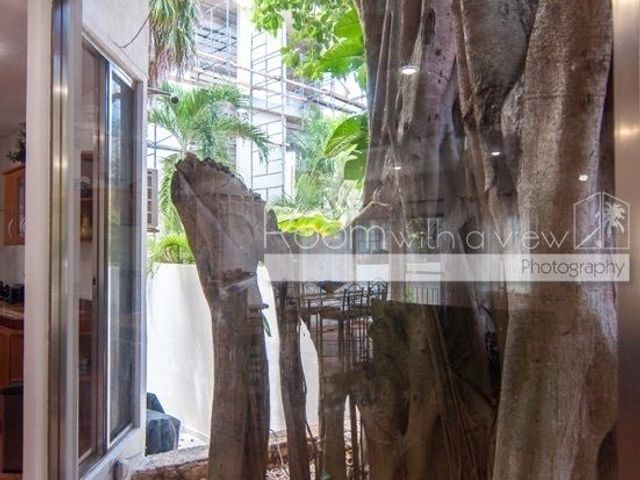 place photo 48
