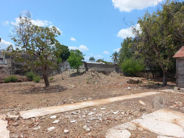 place photo 25
