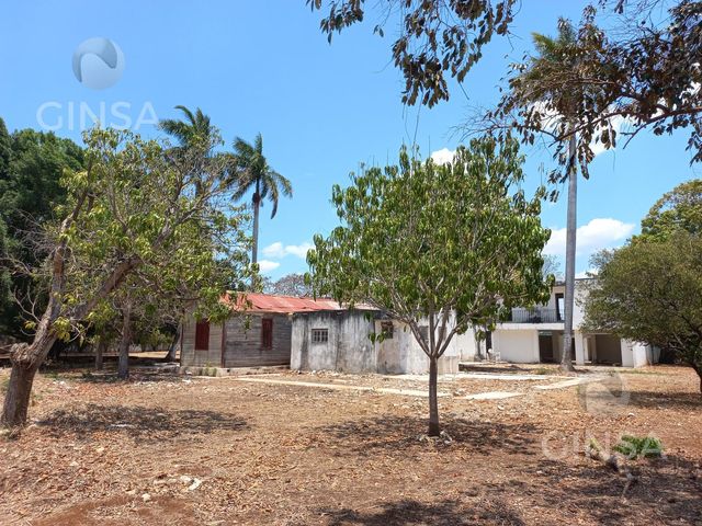 place photo 28