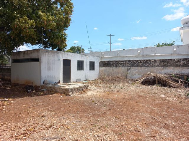 place photo 18