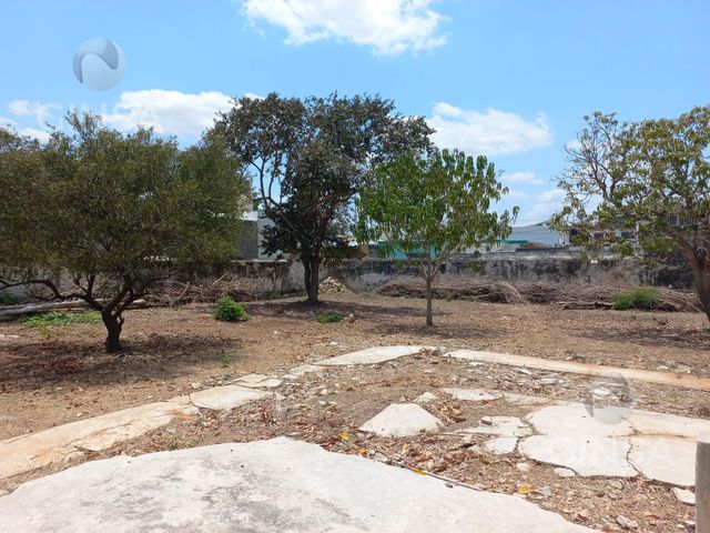 place photo 24
