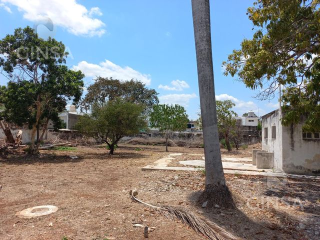 place photo 22