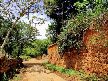 place photo 71