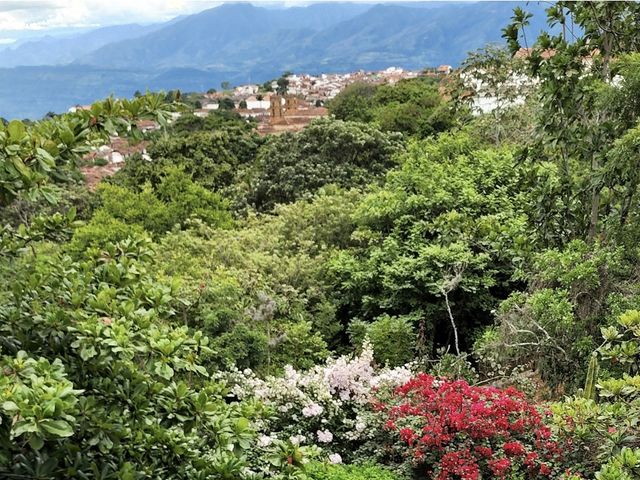 place photo 43