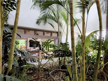 place photo 52