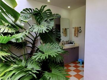 place photo 98