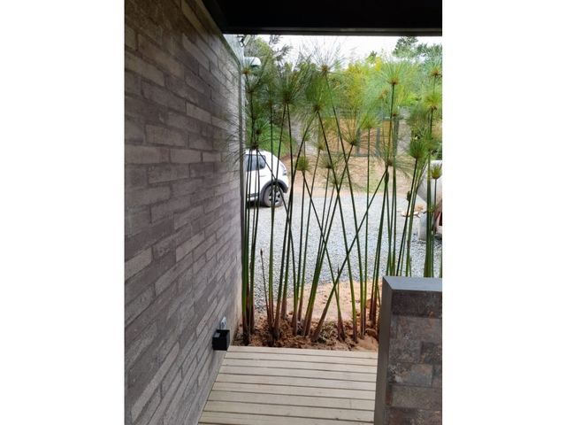 place photo 65