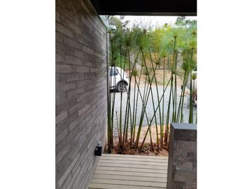 place photo 65