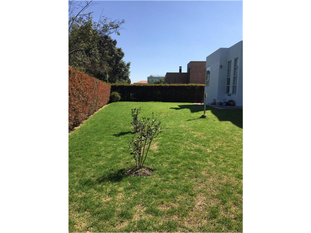 place photo 44