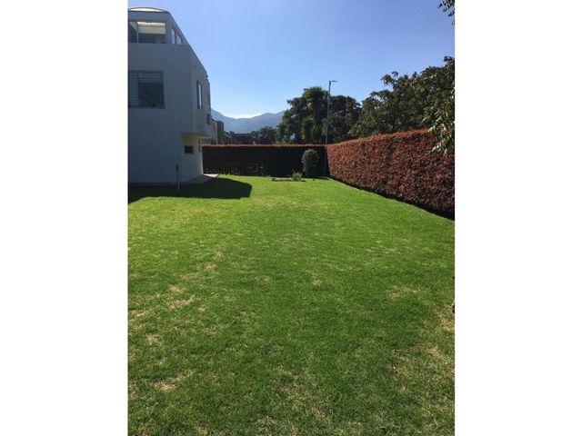 place photo 43