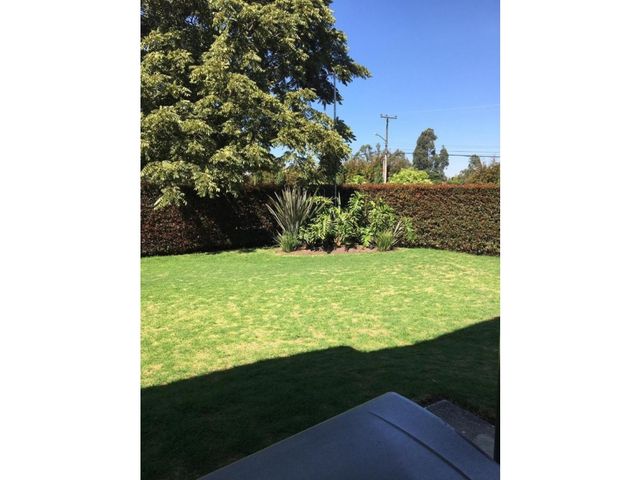 place photo 45