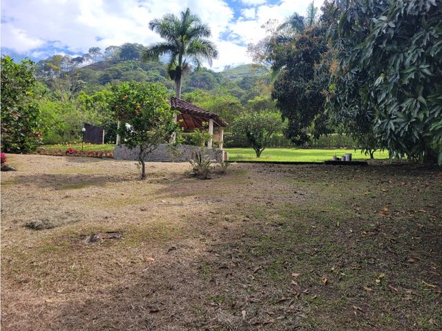 place photo 47