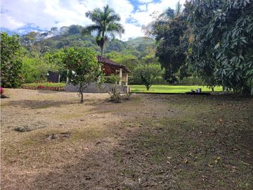 place photo 47