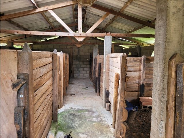 place photo 38