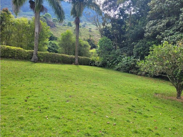 place photo 48