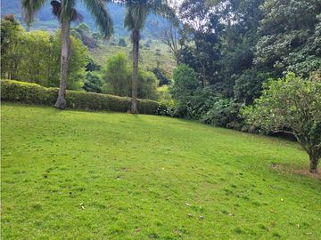 place photo 48