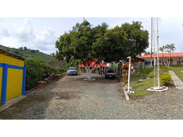 place photo 37