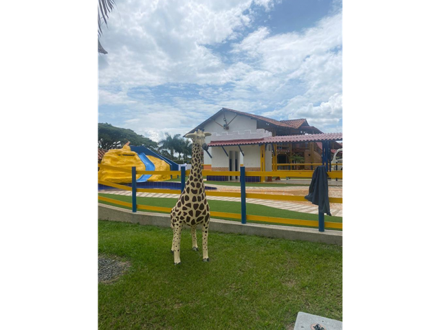 place photo 27