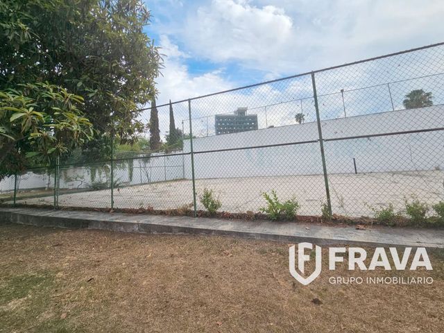 place photo 4