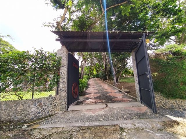 place photo 37