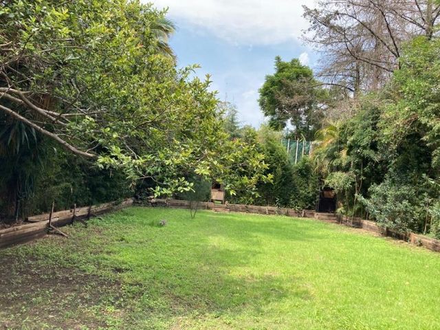 place photo 23