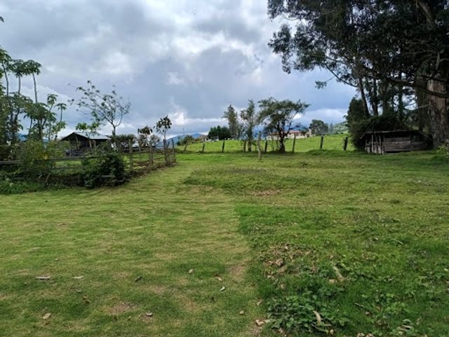 place photo 30