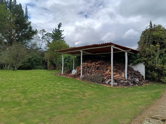 place photo 27