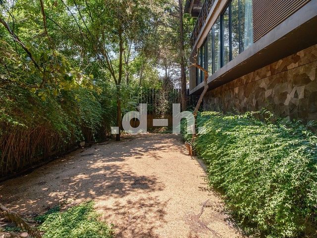 place photo 50