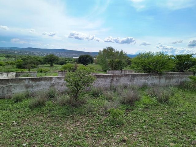 place photo 40