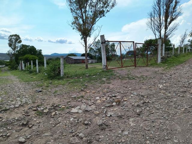 place photo 45