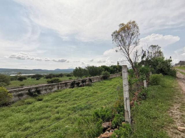 place photo 46