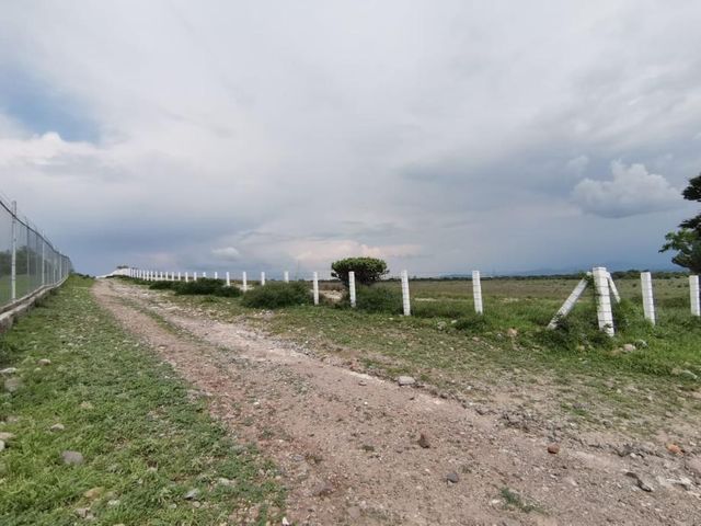 place photo 43
