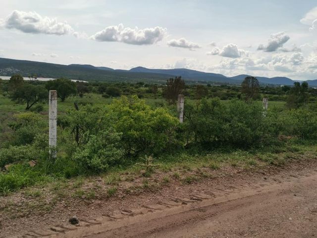 place photo 37