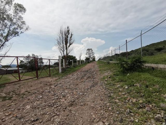 place photo 42