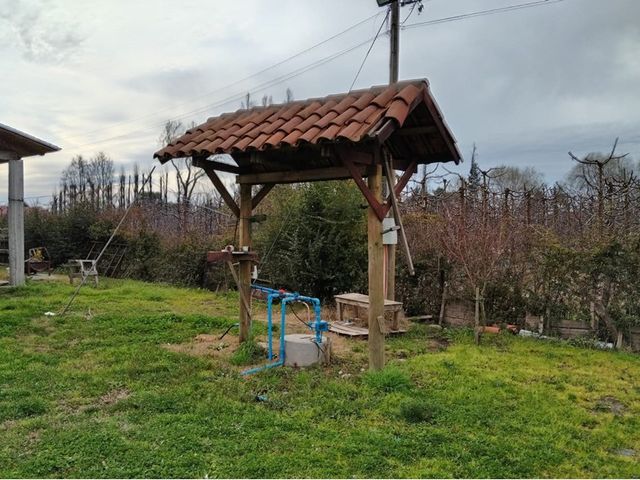 place photo 34