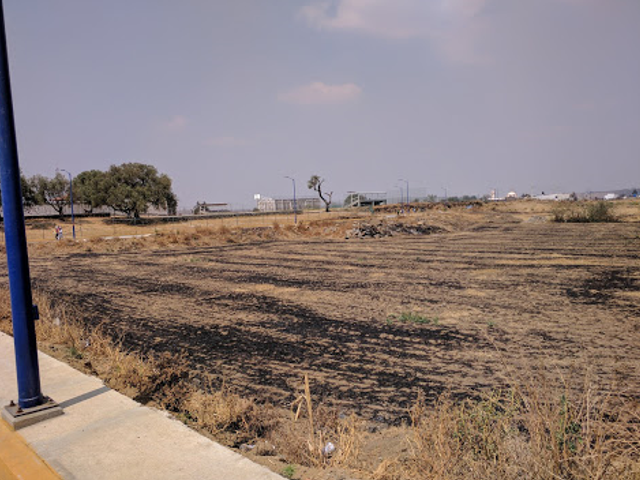 place photo 19