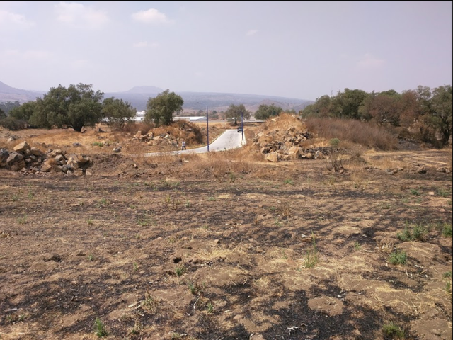 place photo 16