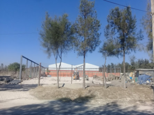 place photo 4
