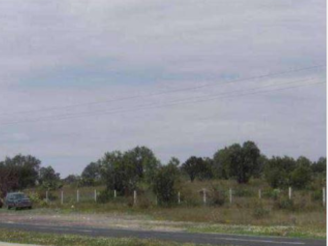 place photo 16