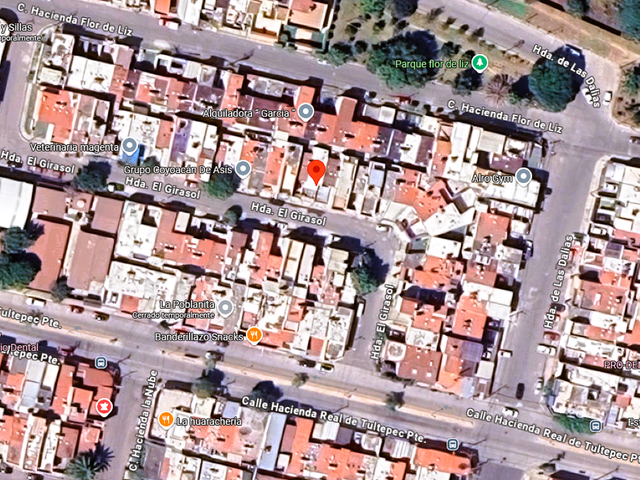 place photo 5