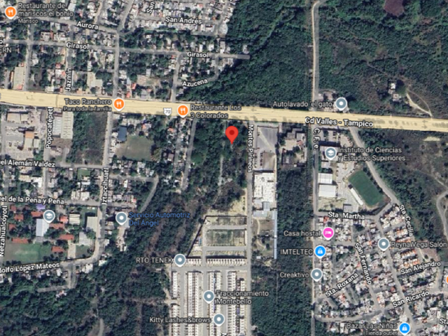 place photo 6