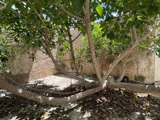 place photo 33