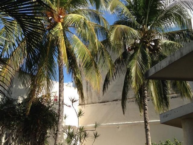 place photo 42