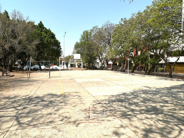 place photo 26