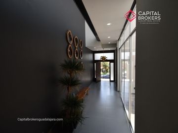 place photo 37