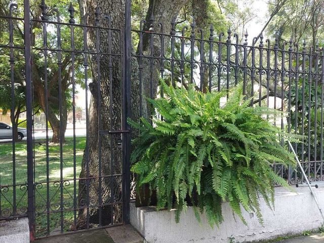 place photo 21