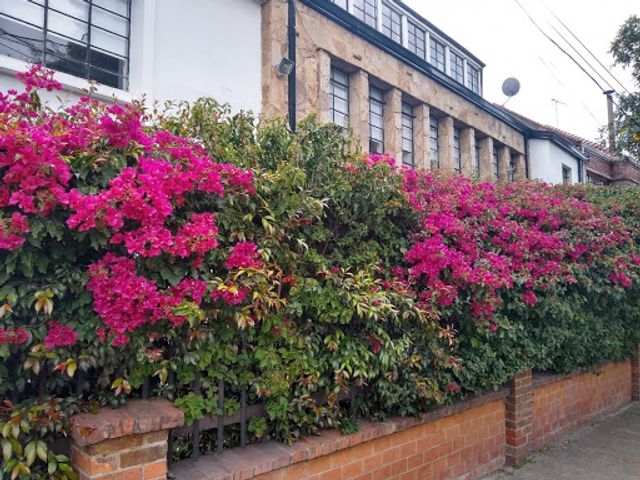 place photo 21